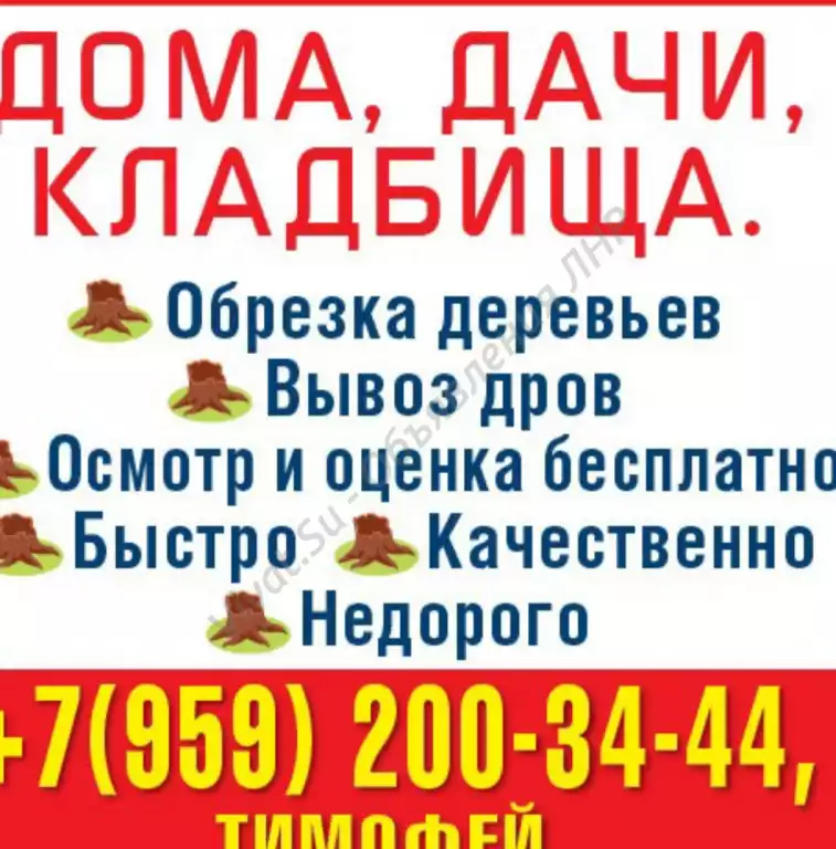 Спил деревьев, Покос травы. Расчистка участка.