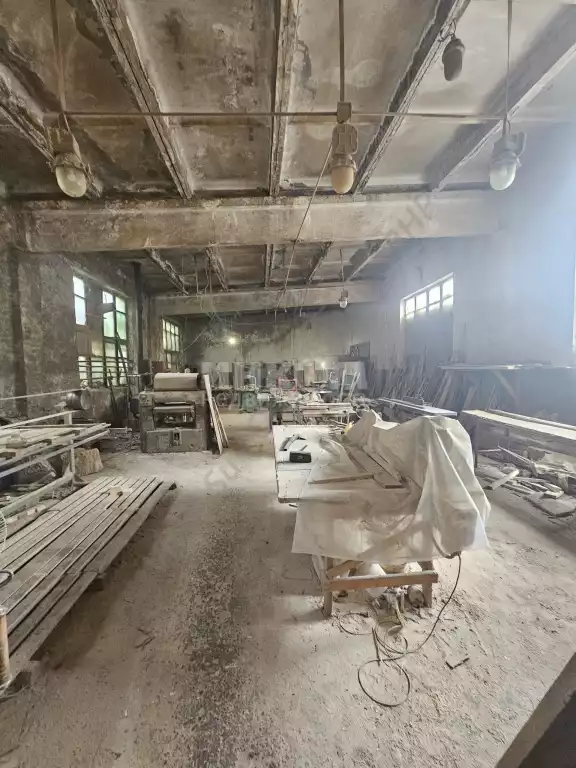 Помещение свободного назначения, 955 м², агент