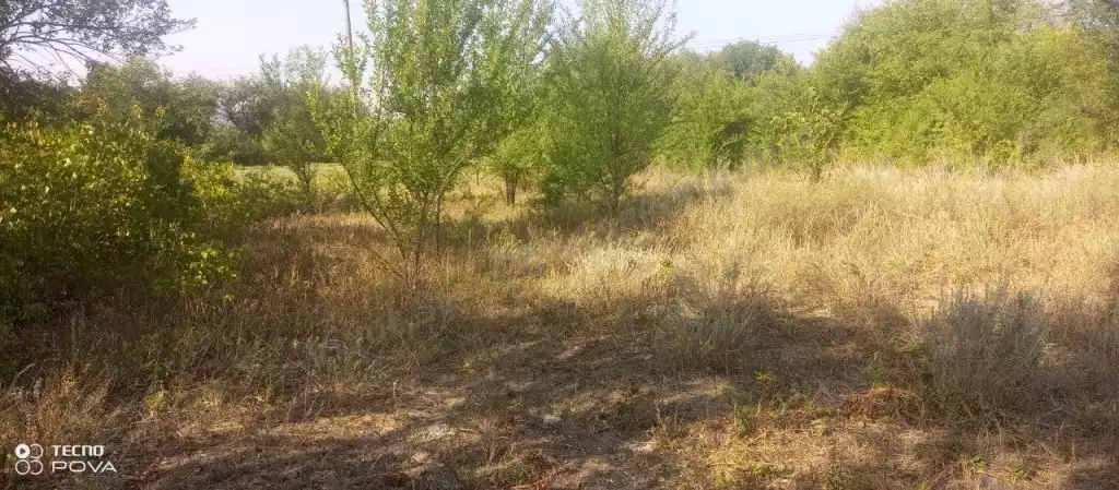 Участок, 67 сот, поселения (ИЖС)