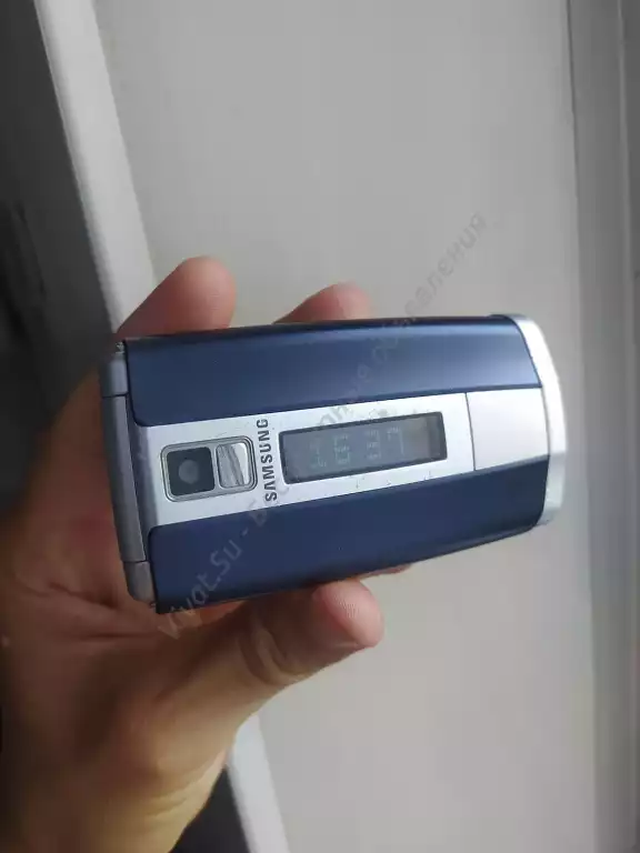 Телефон Samsung SGH-E490, в рабочем состоянии