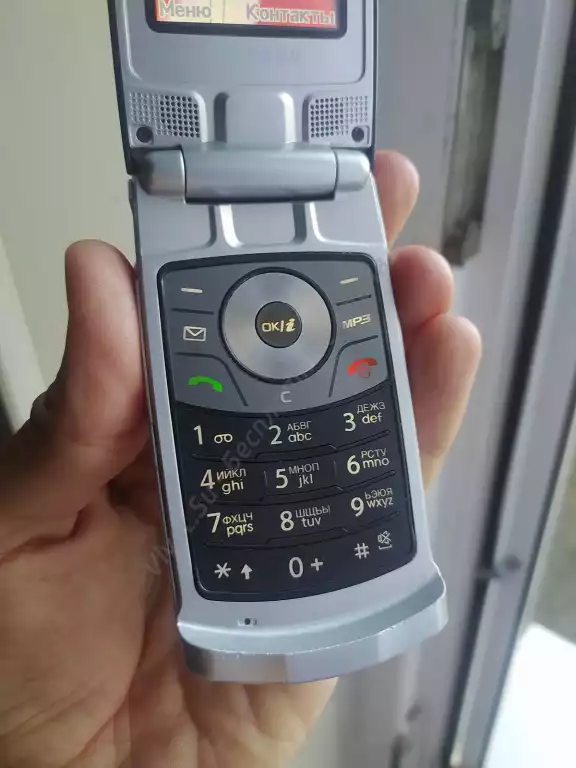 Телефон Samsung SGH-E490, в рабочем состоянии