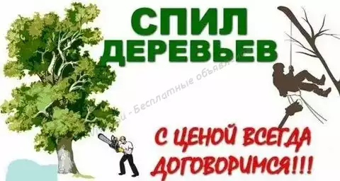 Спил деревьев,вывоз мусора,веток, демонтаж