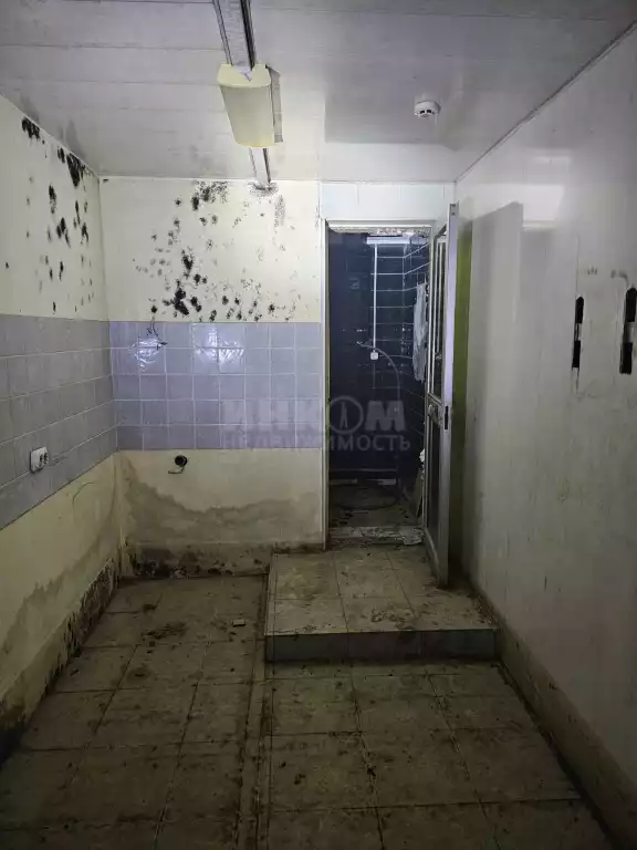 Помещение свободного назначения, 143 м², агент