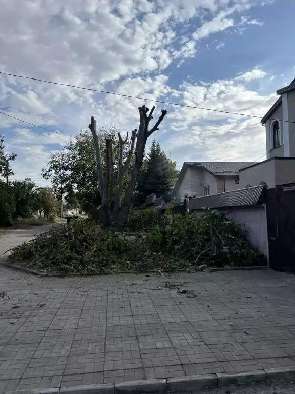 Спил деревьев в луганске