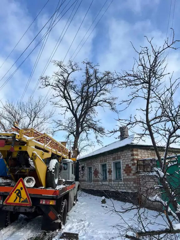 Спил деревьев в луганске