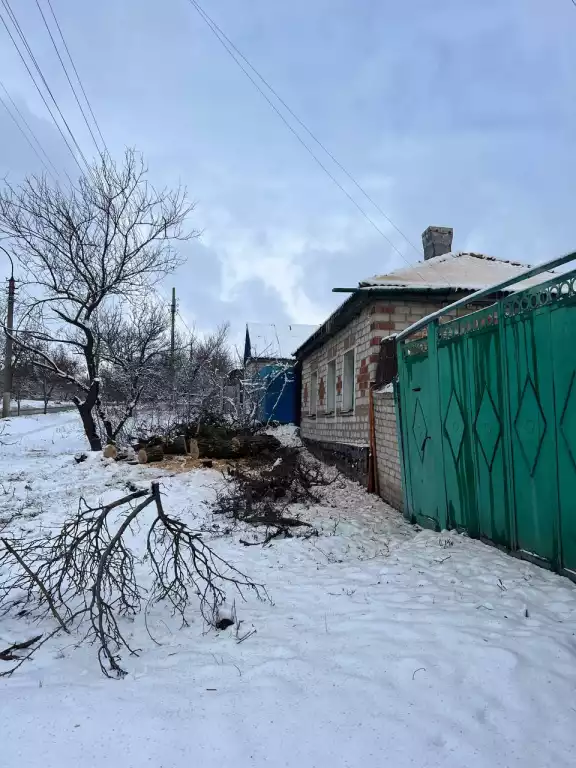 Спил деревьев в луганске